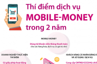 [Infographic] Thí điểm dịch vụ Mobile-Money trong 2 năm