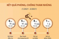 [Infographic] Kết quả phòng, chống tham nhũng tính từ đầu năm