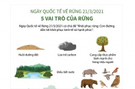 [Infographic] Ngày Quốc tế về Rừng 21/3/2021: 5 vai trò của rừng