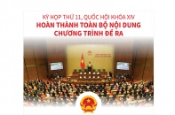 [Infographic] Kỳ họp thứ 11, Quốc hội Khóa XIV: Hoàn thành toàn bộ nội dung chương trình đề ra