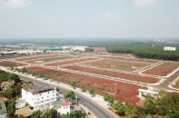Trong năm 2021 dòng tiền đầu tư đang chảy về đâu?