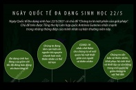 [Infographic] Ngày Quốc tế Đa dạng sinh học 22/5: "Chúng ta là một phần của giải pháp"