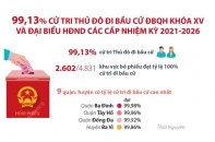 [Infographic] 99,13% cử tri Thủ đô đi bầu cử ĐBQH khóa XV và đại biểu HĐND các cấp nhiệm kỳ 2021-2026