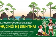 [Infographic] Ngày Môi trường Thế giới 5/6/2021: Phục hồi Hệ sinh thái