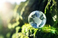 IEA: Để đạt được mục tiêu trung hòa carbon phải đầu tư lớn cho chuyển đổi năng lượng sạch