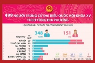 [Infographic] 499 người trúng cử Đại biểu Quốc hội khóa XV theo từng địa phương