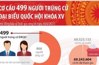 [Infographic] Cơ cấu 499 người trúng cử đại biểu Quốc hội khóa XV