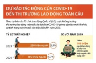 [Infographic] Dự báo tác động của COVID-19 đến thị trường lao động toàn cầu