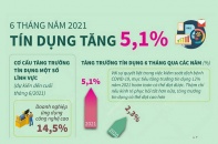 [Infographic] 6 tháng năm 2021: Tín dụng tăng 5,1%