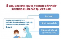 [Infographic] 5 loại vaccine COVID-19 được cấp phép sử dụng khẩn cấp tại Việt Nam