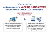 [Infographic] Sắp hoàn thành tiêm vắc xin Nano Covax phòng COVID-19 mũi 2 của giai đoạn 3
