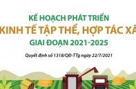 [Infographic] Kế hoạch phát triển kinh tế tập thể, hợp tác xã giai đoạn 2021 - 2025