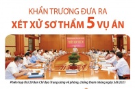 [Infographic] Phòng, chống tham nhũng: Khẩn trương đưa ra xét xử sơ thẩm 5 vụ án