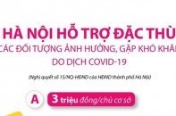 [Infographic] Hà Nội hỗ trợ đặc thù các đối tượng ảnh hưởng, gặp khó khăn do dịch COVID-19