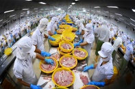 Vạch lộ trình phát triển cho ngành chế biến thủy sản Việt Nam