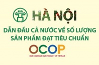 [Infographic] Hà Nội dẫn đầu cả nước về số lượng sản phẩm đạt tiêu chuẩn OCOP