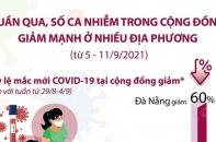 [Infographic] Số ca nhiễm trong cộng đồng giảm mạnh ở nhiều địa phương