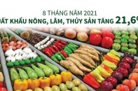 [Infographic] 8 tháng năm 2021, xuất khẩu nông, lâm, thủy sản tăng 21,6%