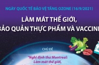 [Infographic] Ngày Quốc tế bảo vệ tầng ozone 16/9: Làm mát thế giới, bảo quản thực phẩm và vaccine