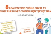 [Infographic] 8 loại vaccine phòng COVID-19 được phê duyệt có điều kiện tại Việt Nam
