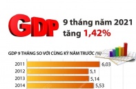 [Infographic] GDP 9 tháng năm 2021 tăng 1,42%