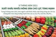 [Infographic] 9 tháng năm 2021, xuất khẩu nhiều nông sản chủ lực tăng mạnh