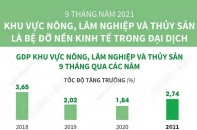 [Infographic] 9 tháng năm 2021: Khu vực nông, lâm nghiệp và thủy sản là bệ đỡ nền kinh tế trong đại dịch