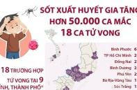 [Infographic] Sốt xuất huyết gia tăng, hơn 50.000 ca mắc, 18 người tử vong