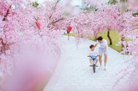 Có một thành phố "Tây" ở phía Tây thành phố