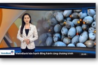 Nắm bắt xu hướng tiêu dùng cùng "Thương hiệu thị trường"