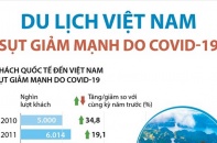 [Infographic] Du lịch Việt Nam sụt giảm mạnh do ảnh hưởng bởi COVID-19