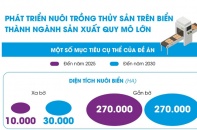 [Infographic] Phát triển nuôi trồng thủy sản trên biển thành ngành sản xuất quy mô lớn