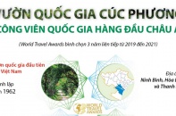 [Infographic] Vườn quốc gia Cúc Phương - "Công viên quốc gia hàng đầu châu Á"