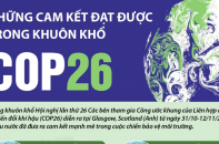 [Infographic] Những cam kết đạt được trong khuôn khổ COP26