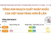 [Infographic] 15 năm Việt Nam được kết nạp là thành viên của WTO