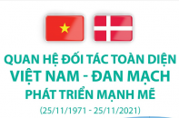[Infographic] Quan hệ Đối tác toàn diện Việt Nam - Đan Mạch phát triển mạnh mẽ