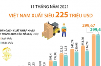[Infographic] 11 tháng năm 2021, Việt Nam xuất siêu 225 triệu USD