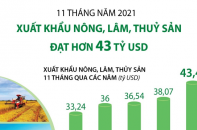 [Infographic] 11 tháng năm 2021, xuất khẩu nông, lâm, thuỷ sản đạt hơn 43 tỷ USD