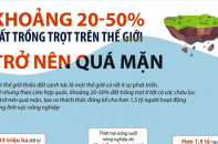 [Infographic] Khoảng 20 - 50% đất trồng trọt trên thế giới trở nên quá mặn