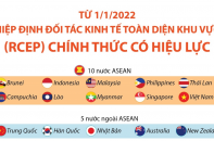 [Infographic] Hiệp định Đối tác Kinh tế Toàn diện Khu vực (RCEP) chính thức có hiệu lực