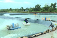 Hỗ trợ 102 tỷ đồng cho 12 địa phương để thực hiện chính sách phát triển thủy sản