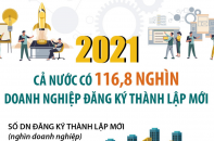 [Infographic] Năm 2021, cả nước có 116.800 doanh nghiệp đăng ký thành lập mới