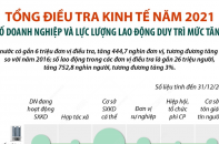 [Infographic] Tổng điều tra kinh tế năm 2021: Số doanh nghiệp và lực lượng lao động duy trì mức tăng