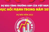 [Infographic] Dự báo tăng trưởng GDP của Việt Nam phục hồi mạnh trong năm 2022