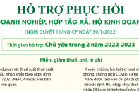 [Infographic] Hỗ trợ phục hồi doanh nghiệp, hợp tác xã, hộ kinh doanh