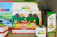 Hapro đón tin vui về xuất khẩu ngay đầu Xuân Nhâm Dần 2022