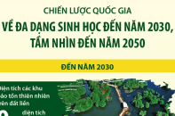[Infographic] Chiến lược quốc gia về đa dạng sinh học