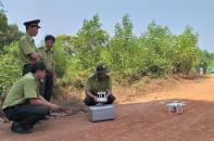 Phê duyệt Đề án nâng cao năng lực cho lực lượng kiểm lâm