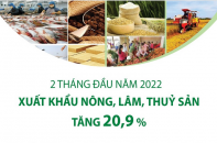 [Infographic] 2 tháng đầu năm 2022: Xuất khẩu nông, lâm, thủy sản tăng 20,9%