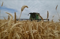 FAO: Xung đột Nga - Ukraine có thể gây khủng hoảng lương thực toàn cầu  